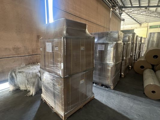 Digital Laminating Film Hot Lamination Film Protects Printed Materials with Width 100mm to 2200mm Non Environmental Feature